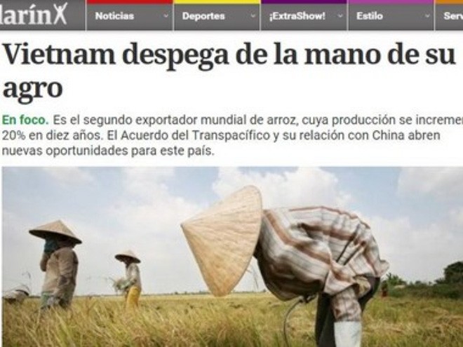 Argentina newspaper praises Vietnamese agriculture - ảnh 1